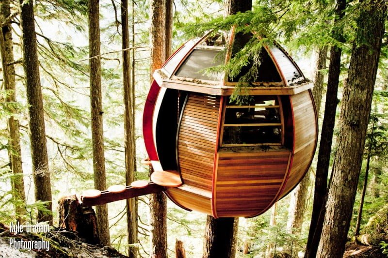 whistler tree house