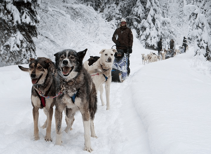 5 Last Minute Winter Getaways In British Columbia 