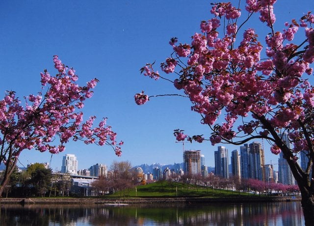 Vancouver Weekend Events Guide [April 4 - 6]