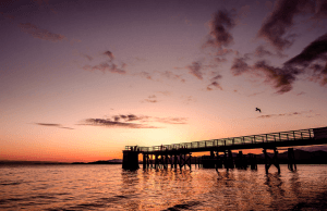 Davis Bay Pier at Sunset | PHOTO