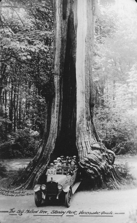 Hollow-tree-1923_vancouver