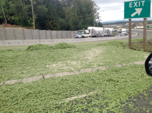 Truck Tips Over And Floods Highway With Green Beans Near Surrey