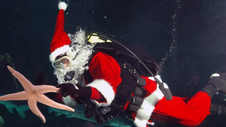 Spend the Holidays at the Vancouver Aquarium