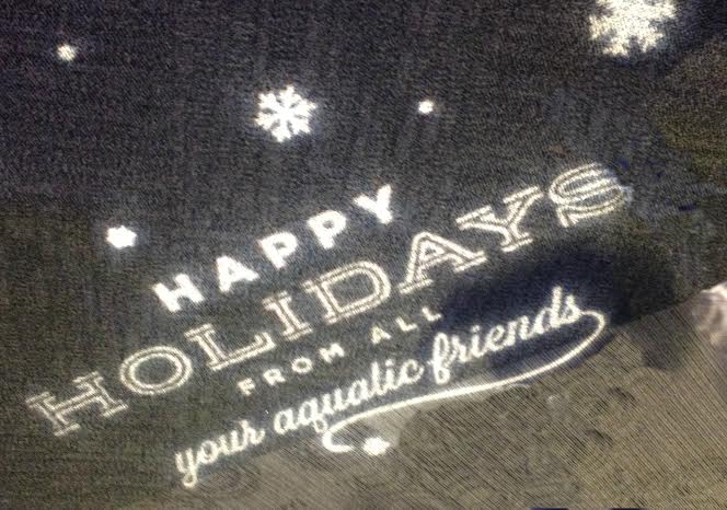 Spend the Holidays at the Vancouver Aquarium