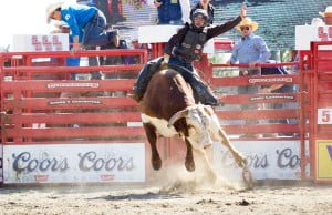 Cloverdale Rodeo & Country Fair Review + Photos