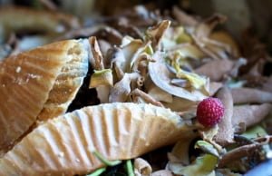 Fines For Food Scraps Violations To Begin on July 1 In Metro Vancouver