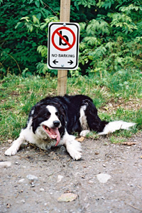 Funny Public Signage In North Vancouver