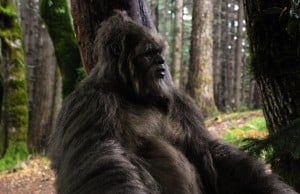 Eerie Sounds Lead To Sasquatch Hunt On Remote BC Island