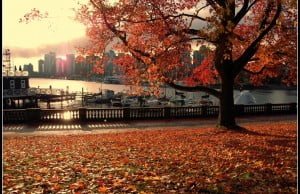 21 Epic Photos Of Vancouver That Will Get You Excited For Fall 2015
