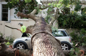 Comprehensive Coverage Needed To Claim Damage From Windstorm: ICBC