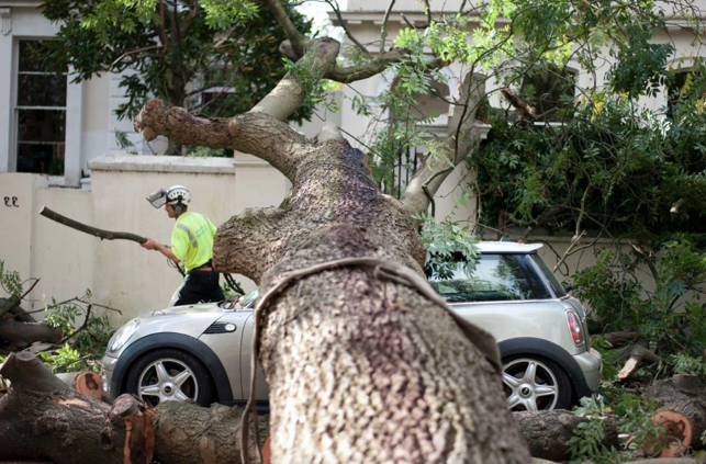 Comprehensive Coverage Needed To Claim Damage From Windstorm: ICBC