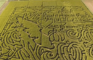 Bird’s Eye View of Vancouver Island Corn Maze (Video)