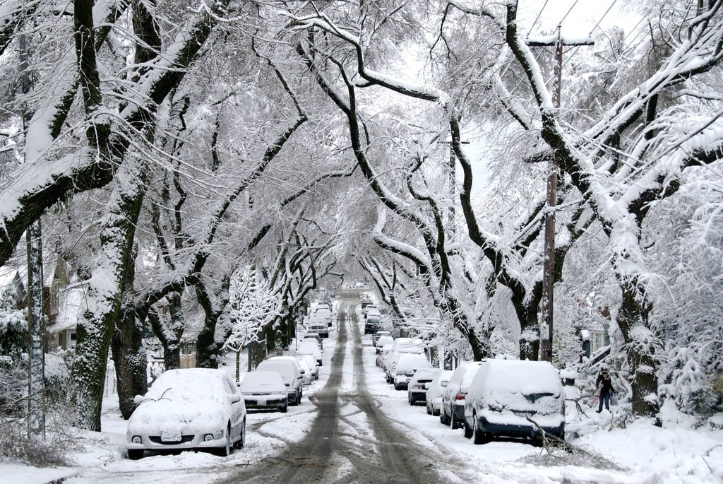 Snow In Vancouver