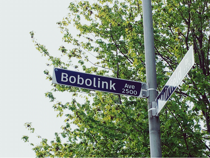 5 Weirdest Vancouver Street Names
