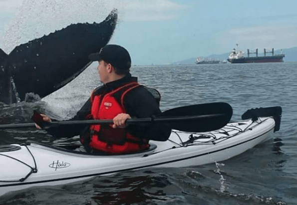 Kayaker Shares Incredible Encounter With Whale Near Kits Beach