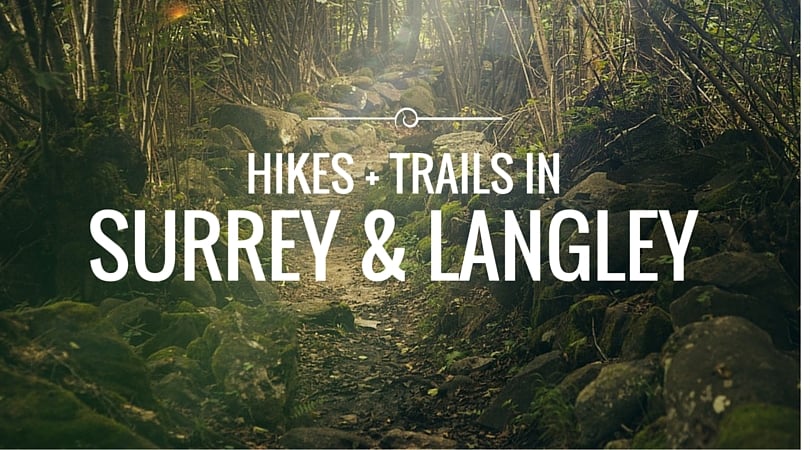 Best Hikes And Trail Walks In Surrey/Langley