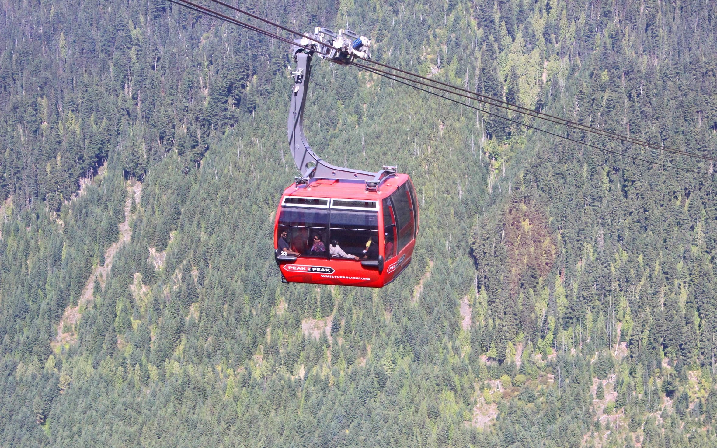 whistler fall