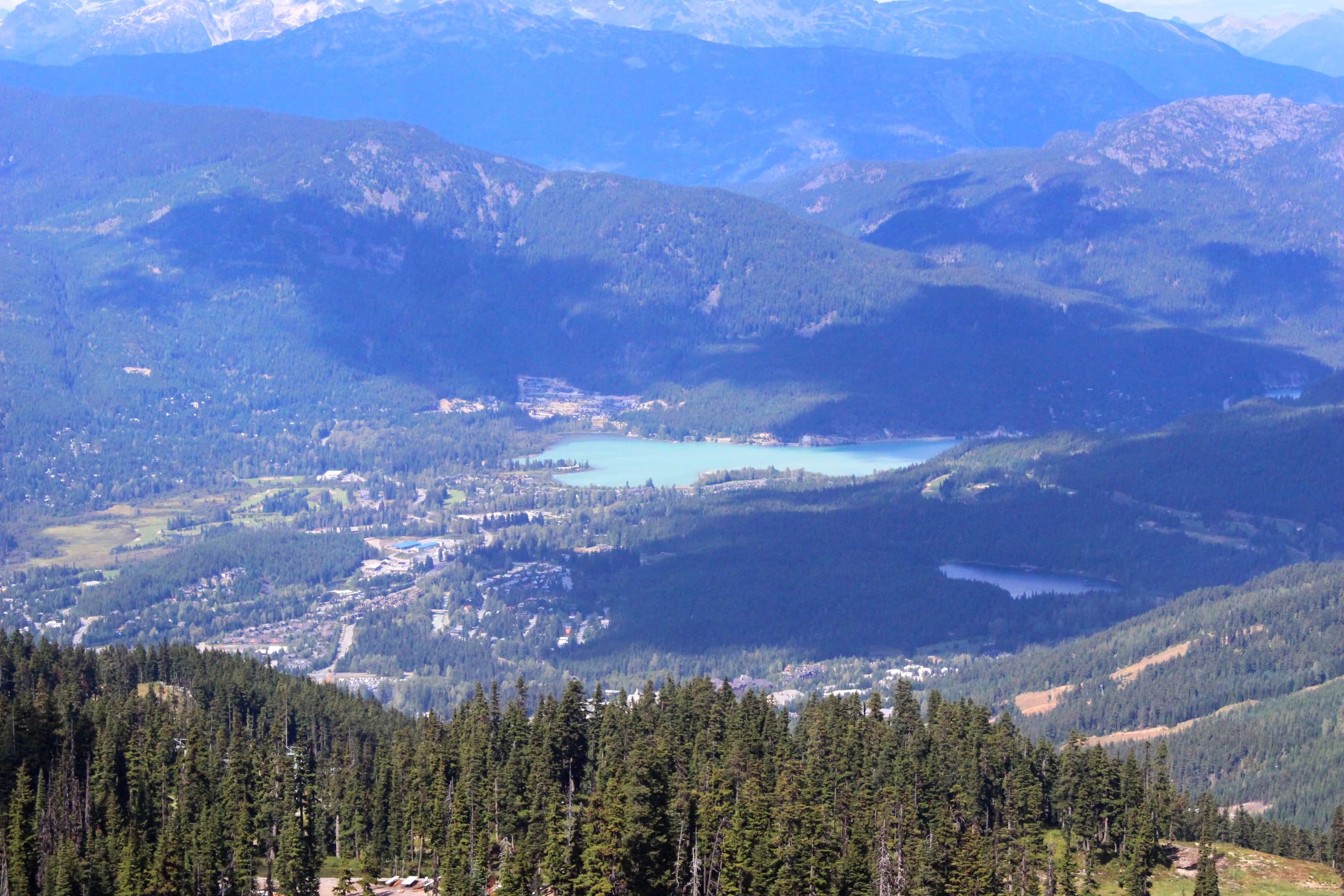 whistler fall