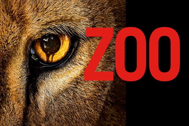 14 zoo (CBS)