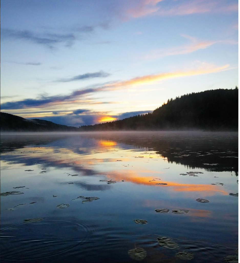 free campsites