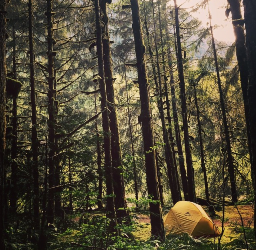free campsites
