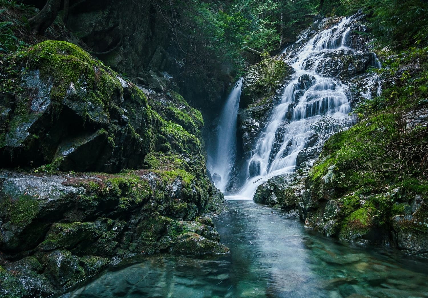 serene metro vancouver