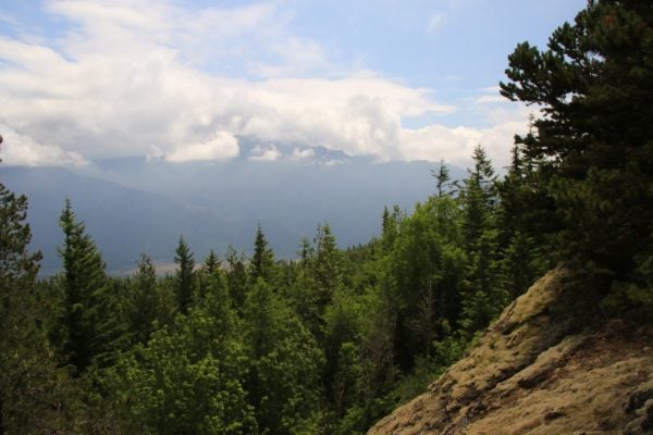 Vedder Ridge Trail