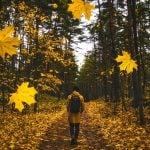 The Most Awe-Inspiring Fall Hikes In Metro Vancouver