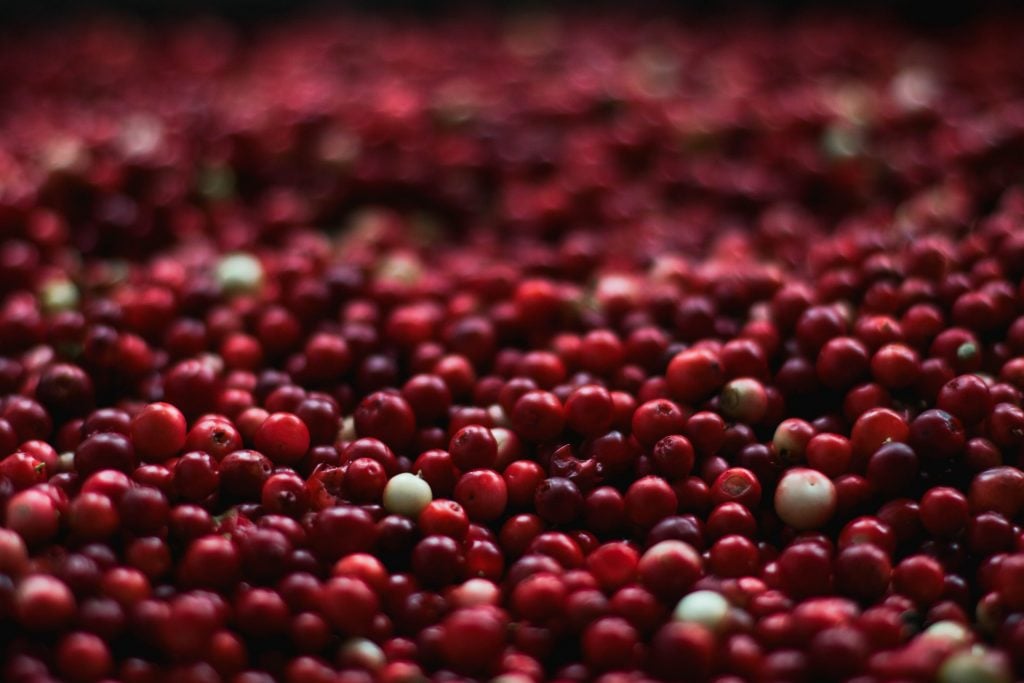 Fort Langley Cranberry Festival