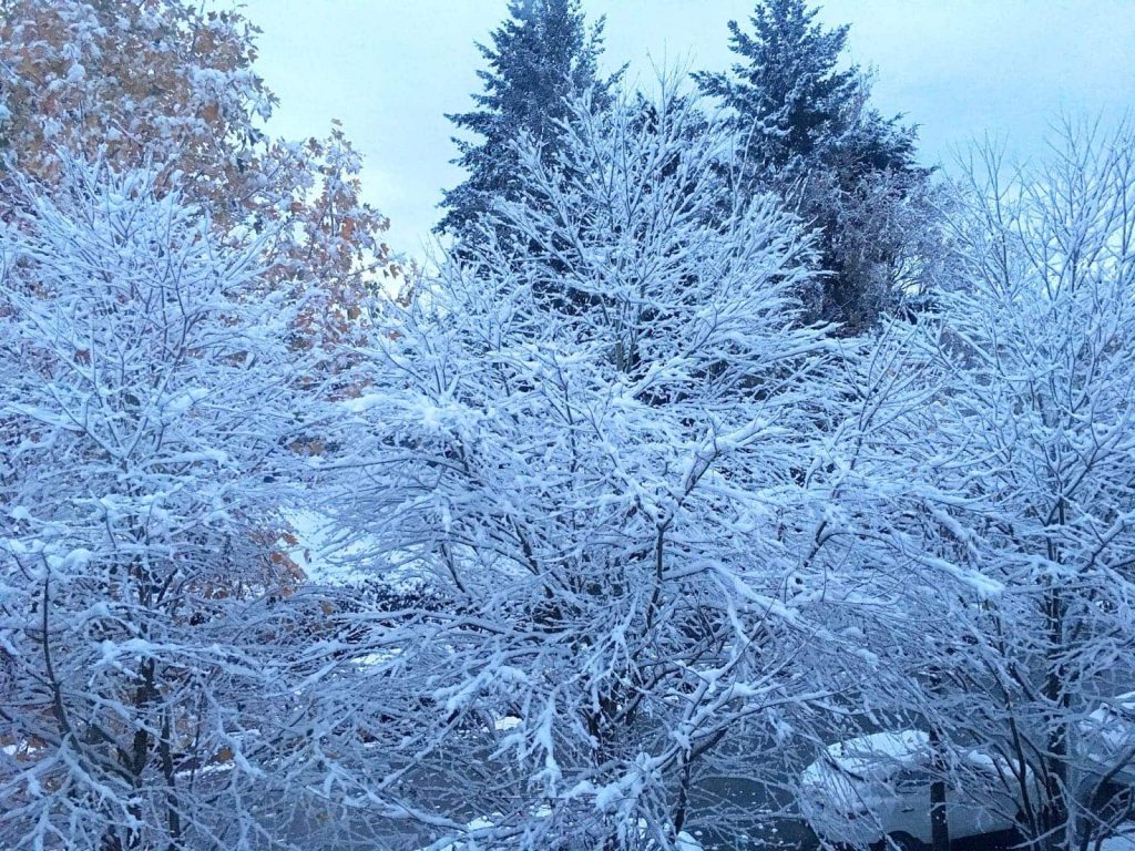 Snow Surrey