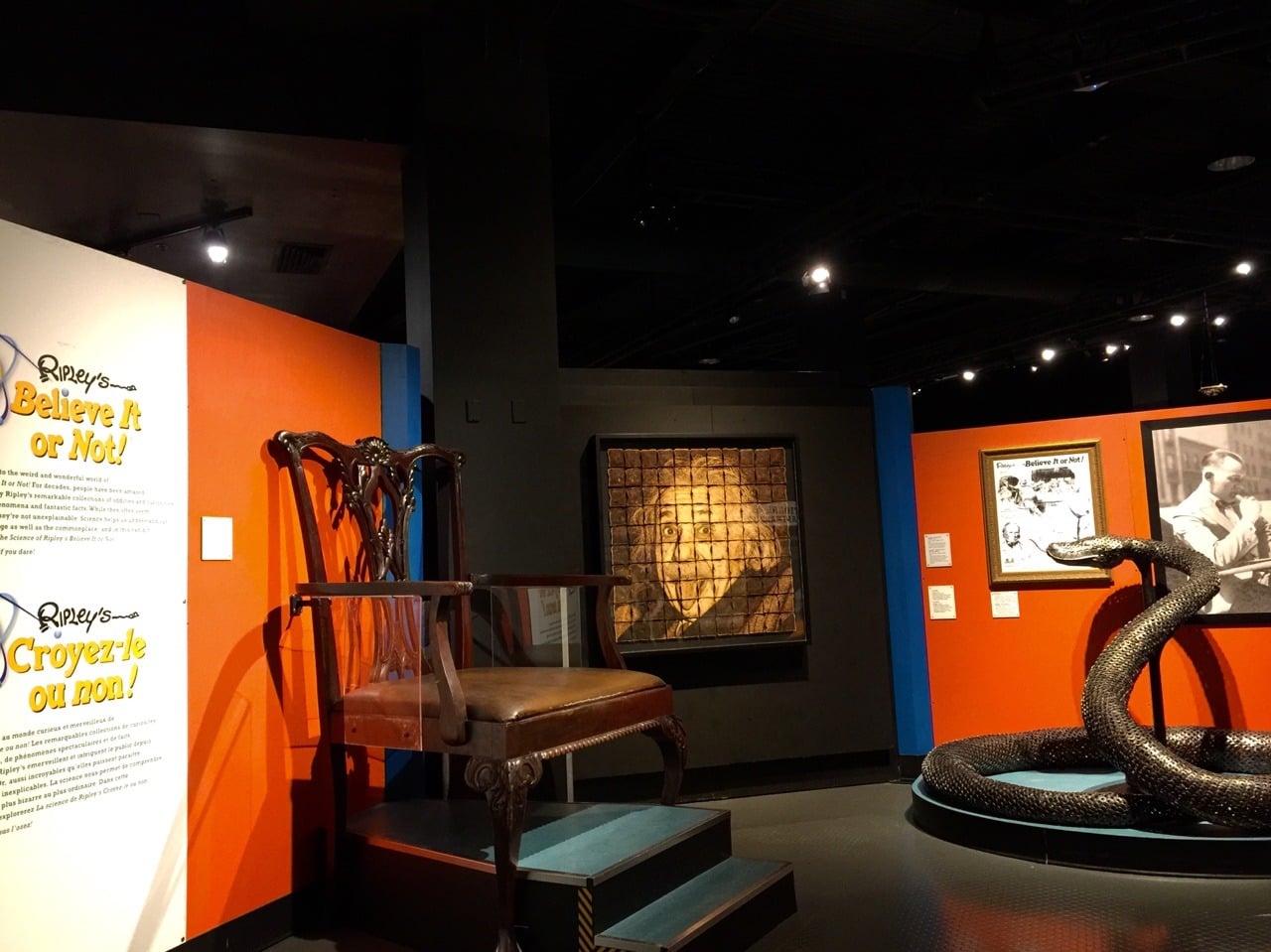 Take A Peek Inside The New Ripley's Believe It Or Not Exhibit - 604 Now