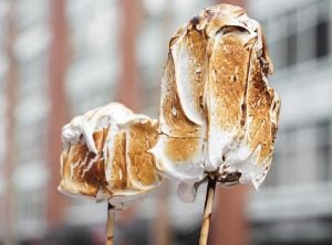 Treat Your Sweet Tooth At This S Mores Ice Cream Bar In Vancouver