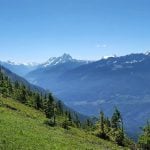 The Best Dog-Friendly Hikes Near And Around Vancouver