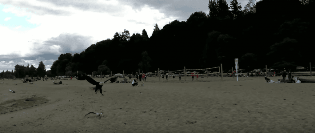 Spanish Banks