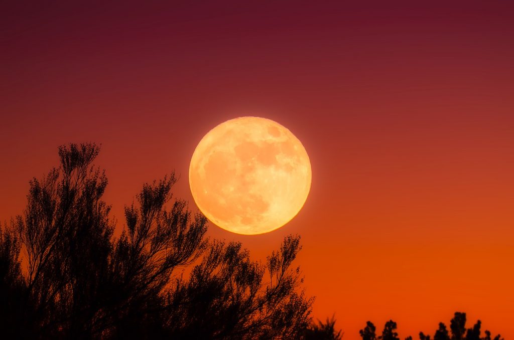 Full Flower Moon