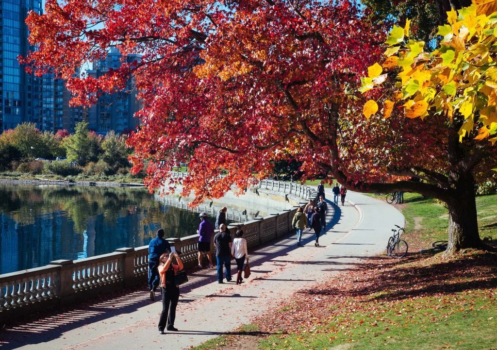 Metro Vancouver Weather Forecast