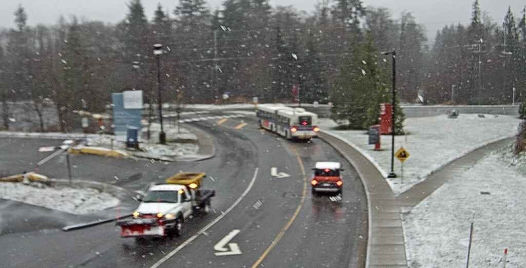 Burnaby Mountain