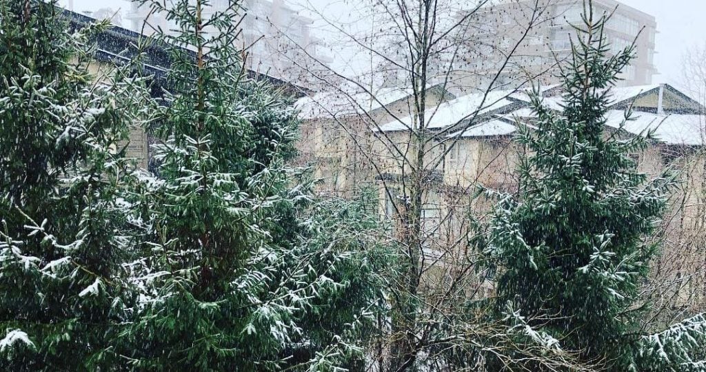 Snowing In Metro Vancouver