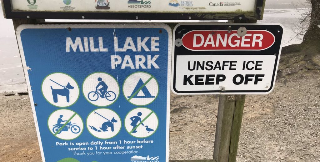Mill Lake Park