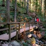 35 Scenic Hikes + Nature Walks To Tackle In Metro Vancouver This Summer