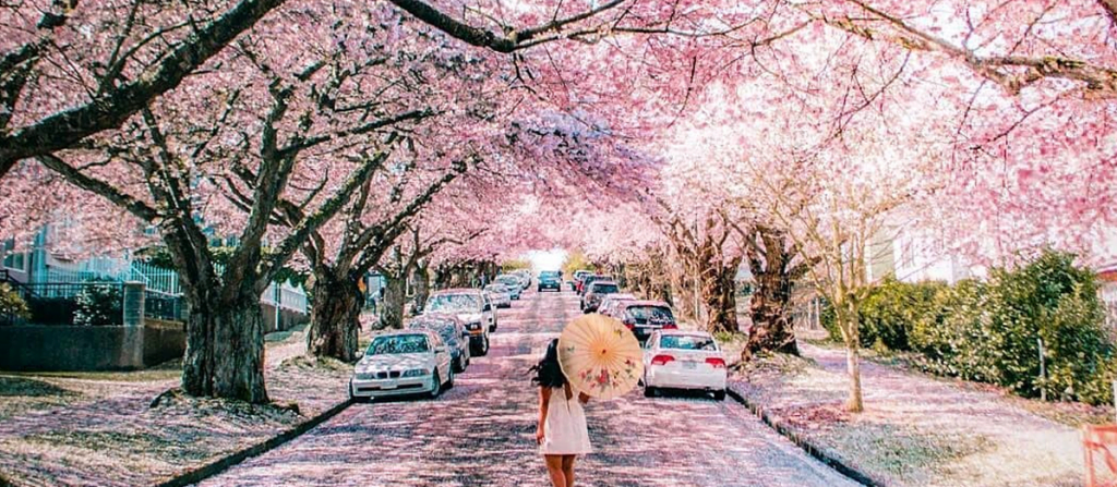 FREE Things To Do In Vancouver