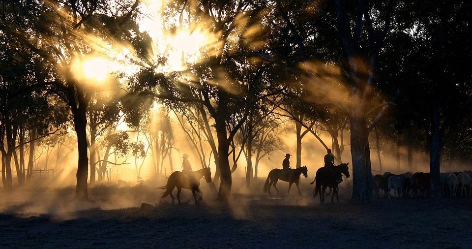 horseback tours in bc