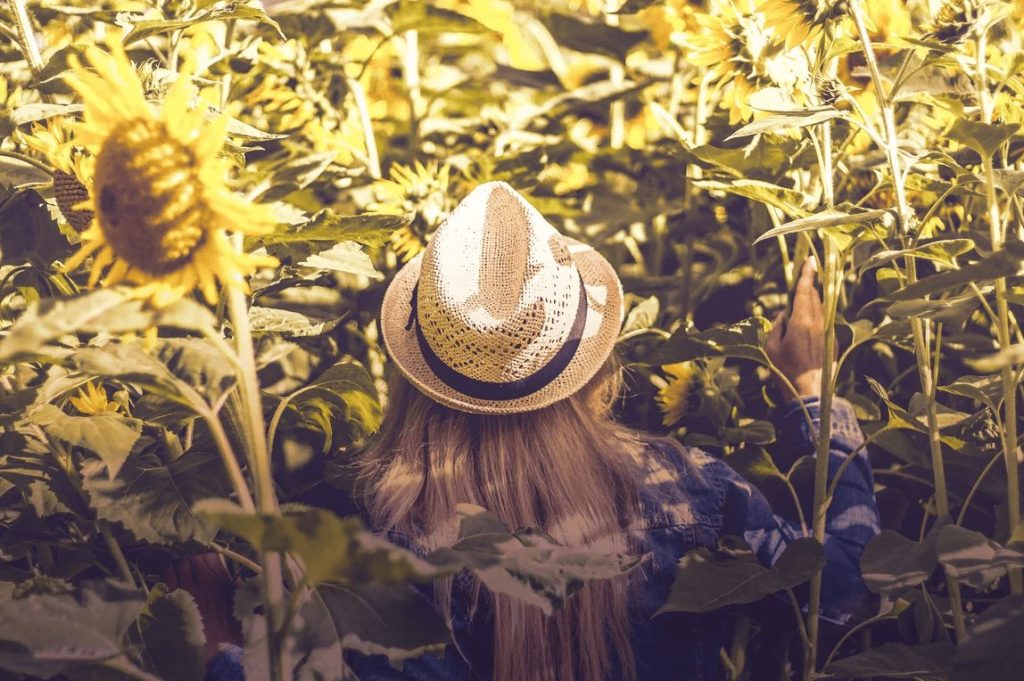flower festivals