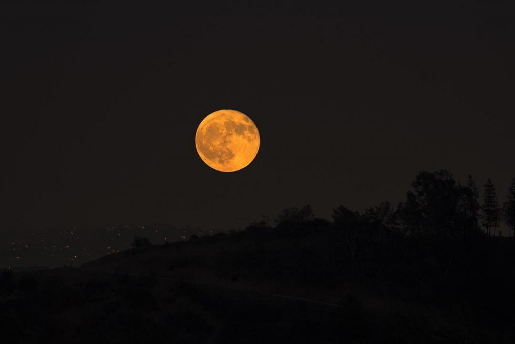 Sturgeon Moon