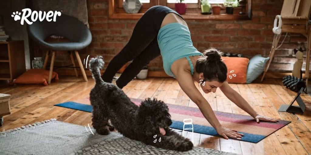 yyoga puppy yoga