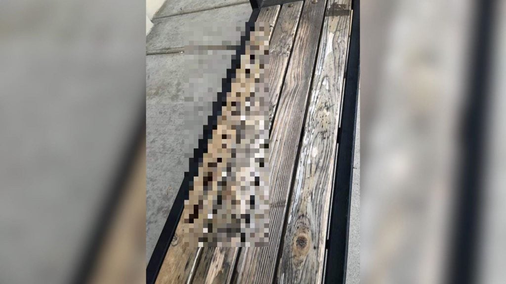 Anti-Chinese Graffiti