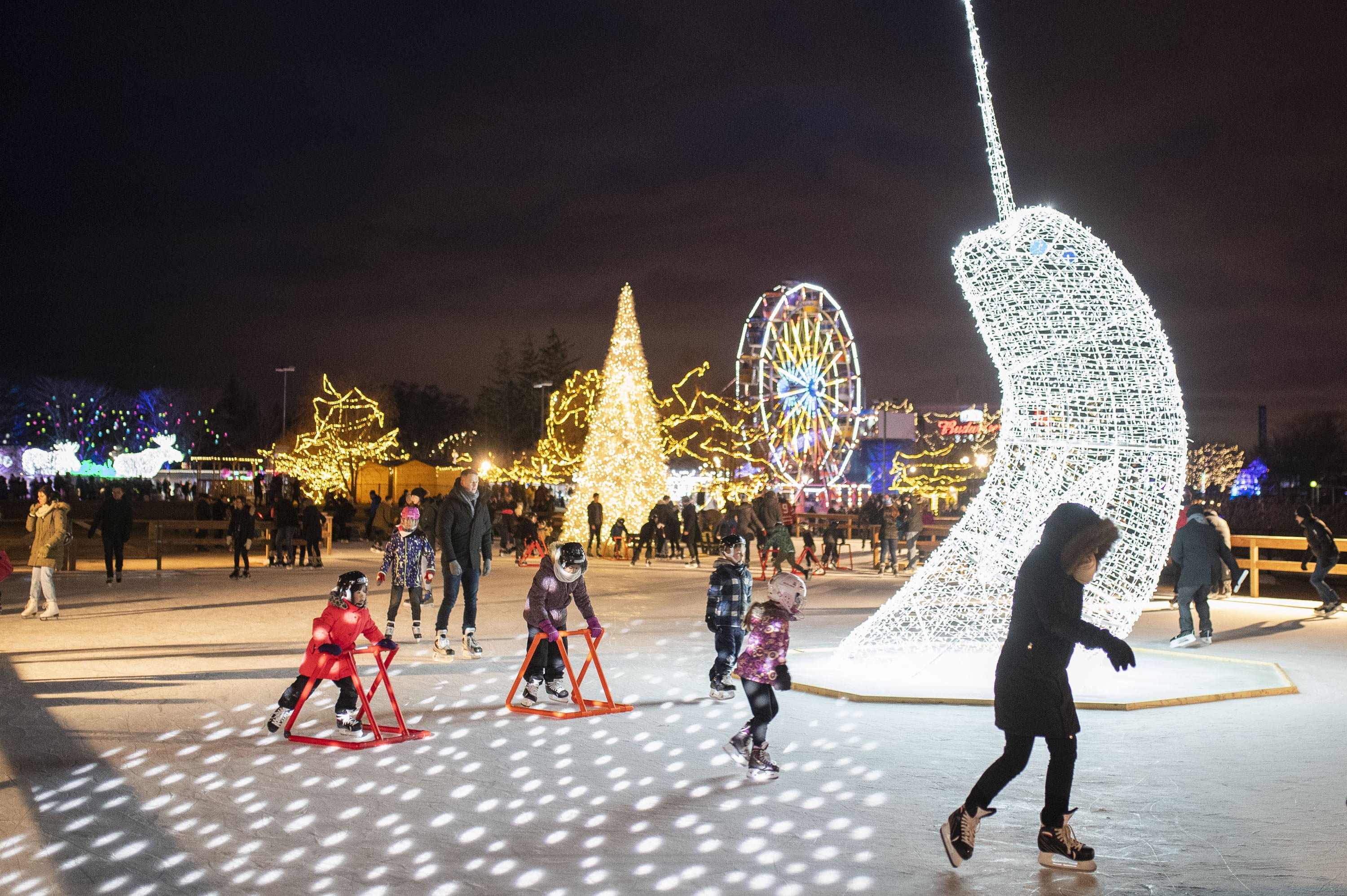 Ice Rink at Aurora Winter Festival
