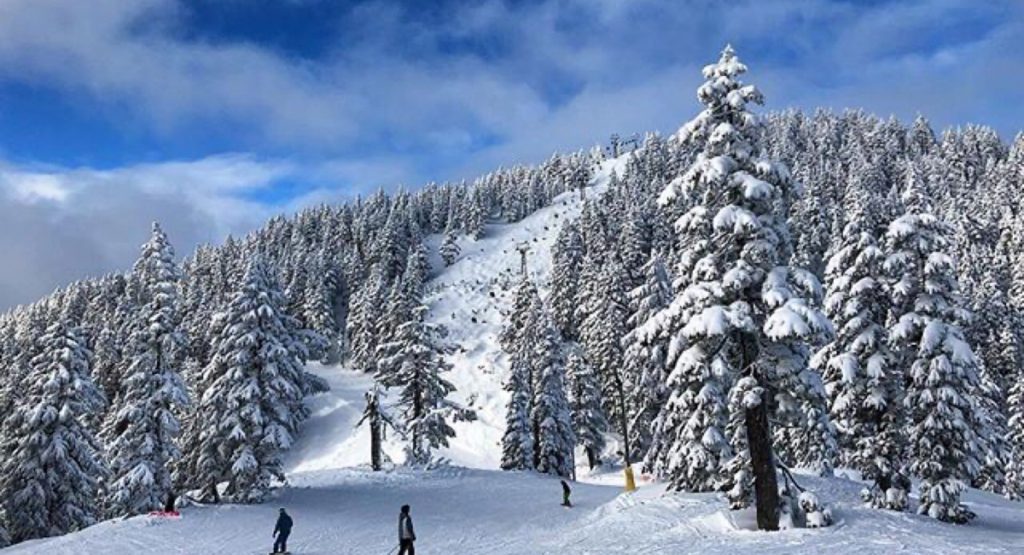 Cypress Mountain is now open