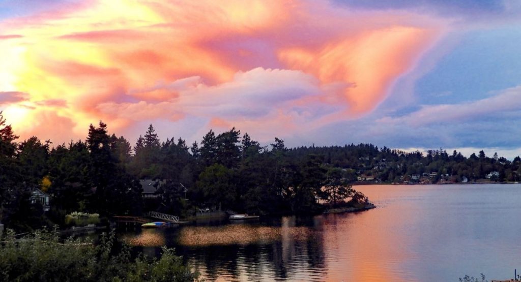 Victoria AirBnB That Place On Portage