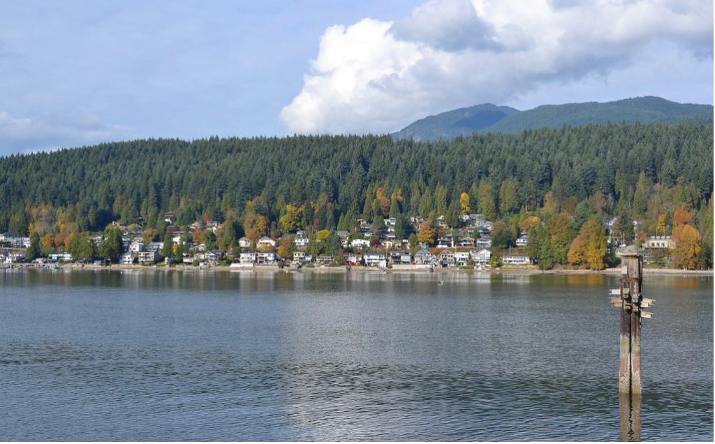 Port Moody park